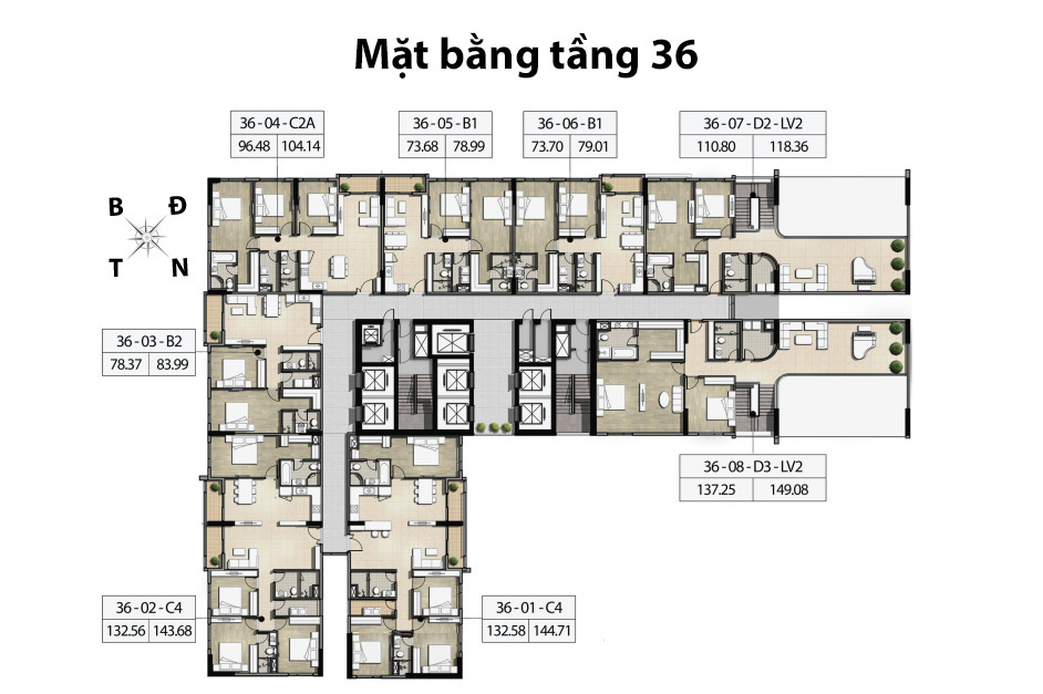 Mặt bằng căn hộ tầng 36